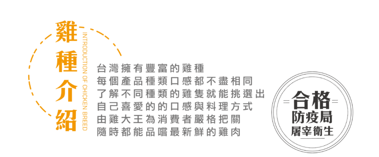 0826雞種介紹_11