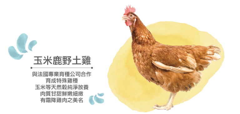 0826雞種介紹_33