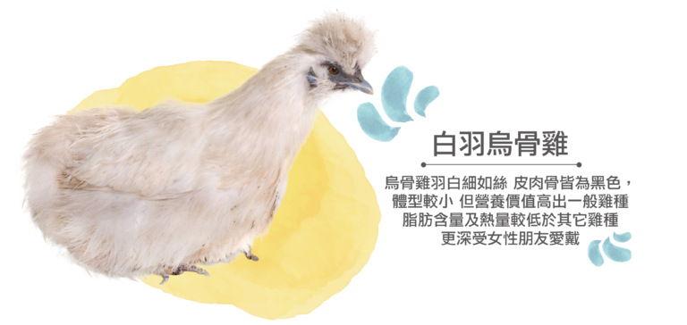 0826雞種介紹_44